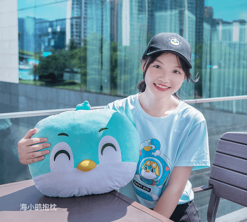 海鹚科技